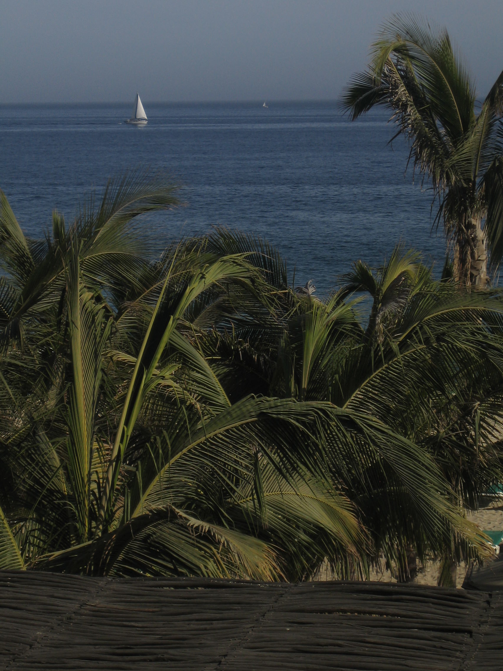CaboSanLucas5