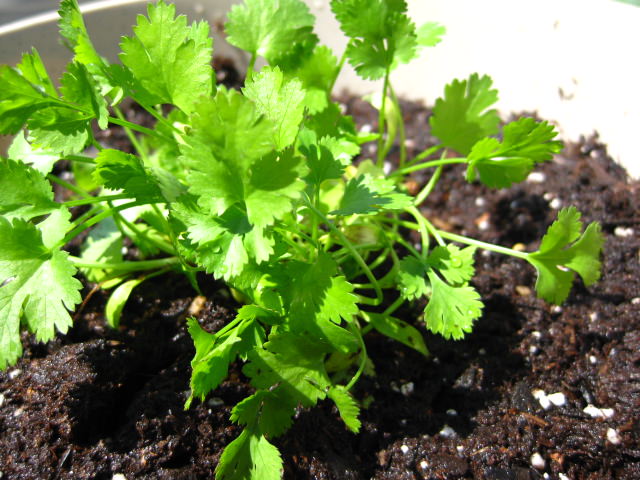 img_0812 img_0812