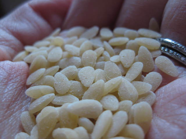 img_0890 img_0890