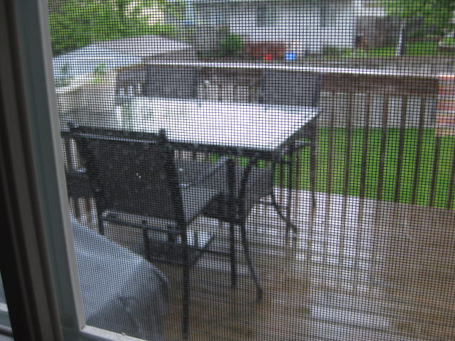IMG_1030 IMG_1030