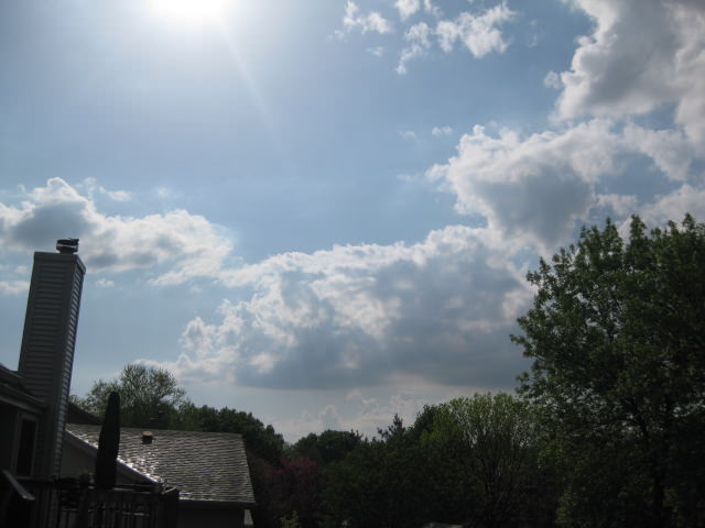 IMG_1039 IMG_1039