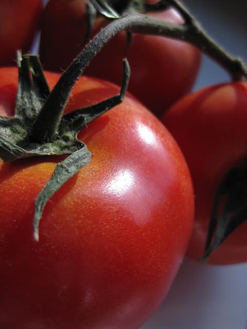 IMG_1217 IMG_1217