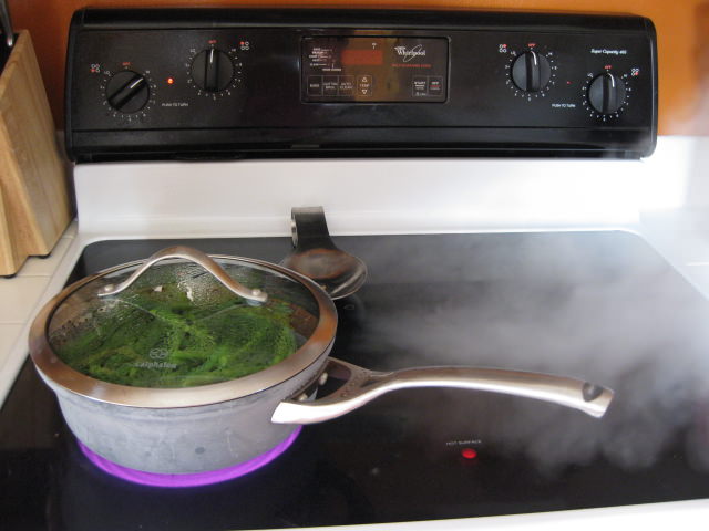 IMG_1330 IMG_1330