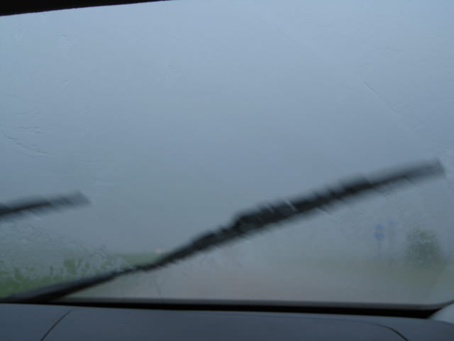 IMG_1372 IMG_1372