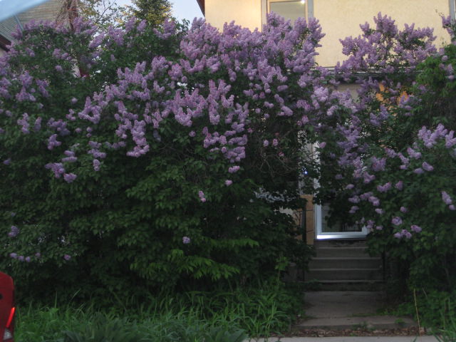 IMG_1389 IMG_1389