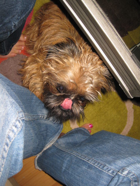 IMG_1401 IMG_1401