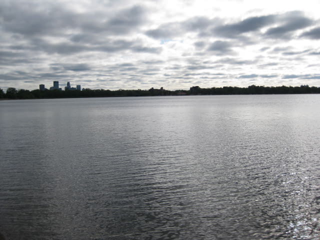 IMG_1441 IMG_1441