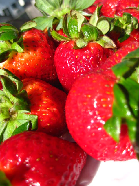 IMG_1635 IMG_1635