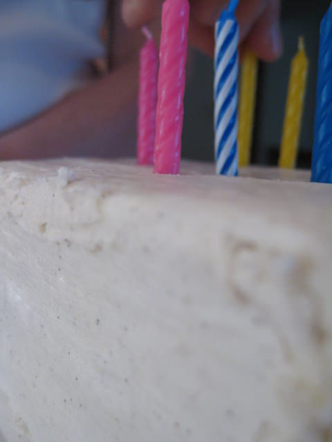 IMG_1669 IMG_1669