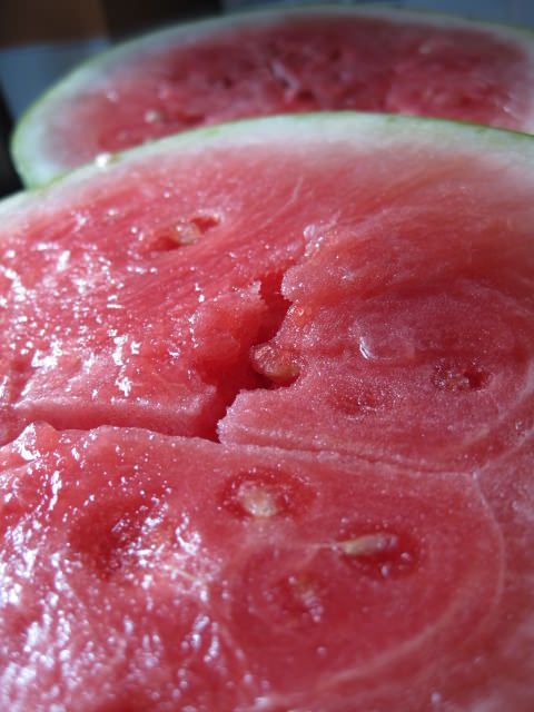 IMG_1718 IMG_1718
