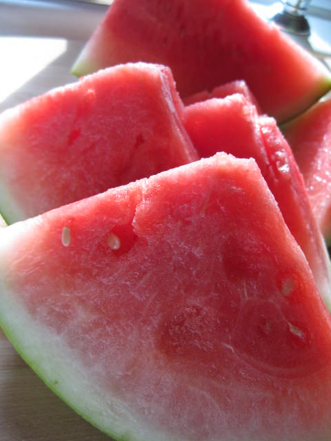 IMG_1719 IMG_1719