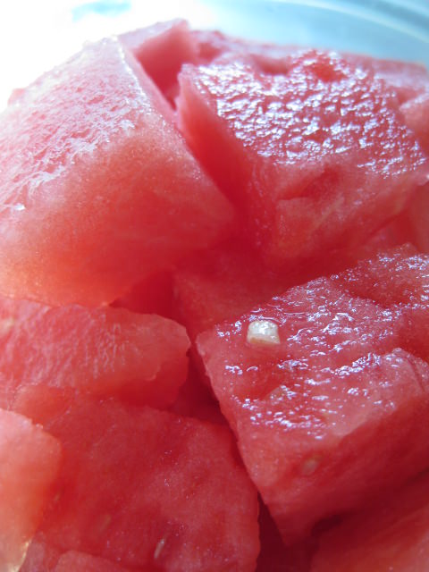 IMG_1721 IMG_1721