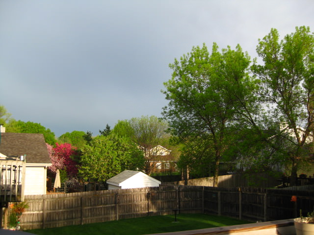 picture-0042