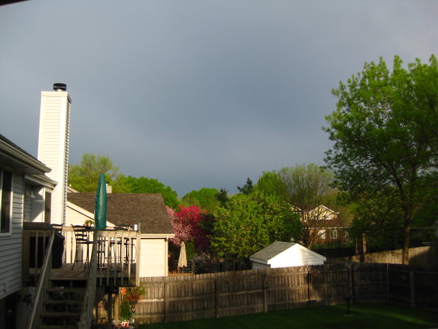 picture-0051