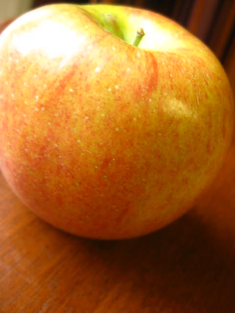 IMG_3719b IMG_3719b