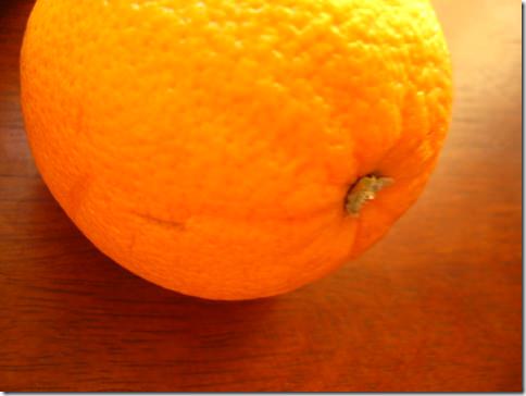 IMG_7414