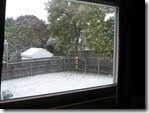 IMG_0640[1]