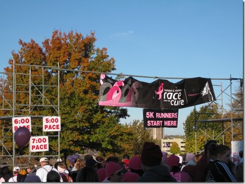 susan-g-komen-walk-for-the-cure-des-moines