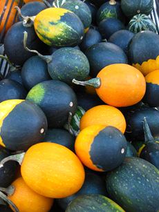des-moines-farmers-market
