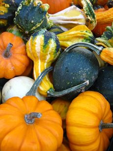 des-moines-farmers-market