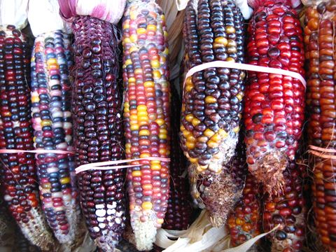 des-moines-farmers-market