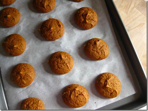 pumpkin-cookie