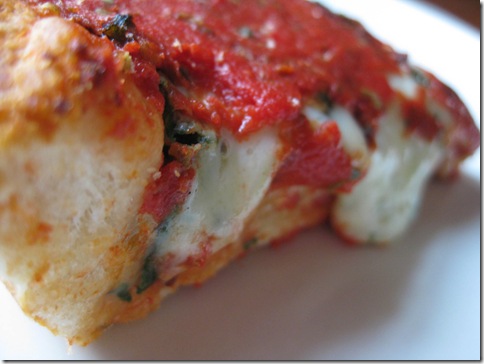 the-dish-pizza