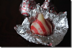 DSC_0026