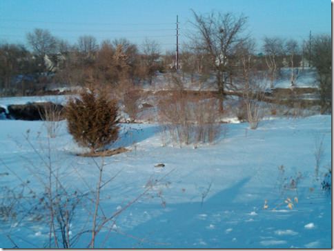 IMG00191-20100304-1649