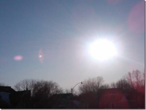 IMG00203-20100305-1701