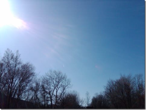 IMG00268-20100321-1616