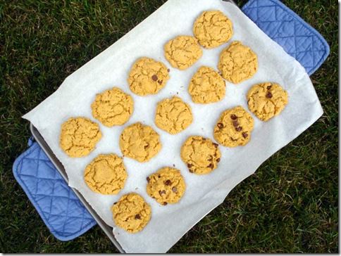 pbcookies2