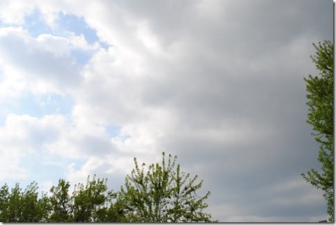 DSC_0003