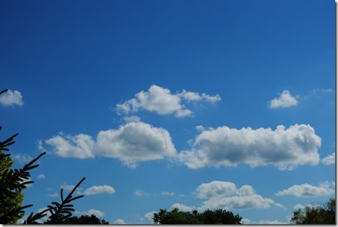 DSC_0021 (2)