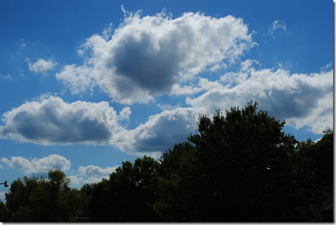 DSC_0023 (2)