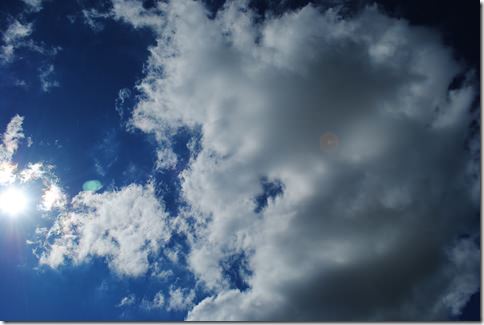 DSC_0026 (2)