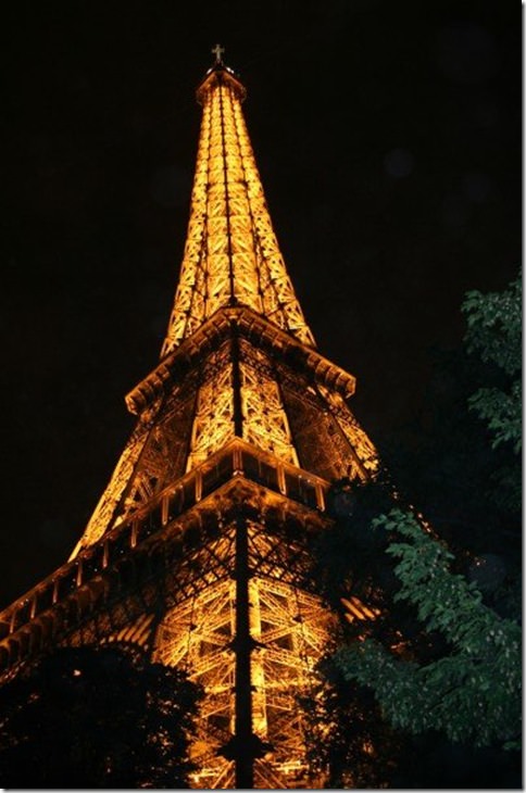 Picture 7
