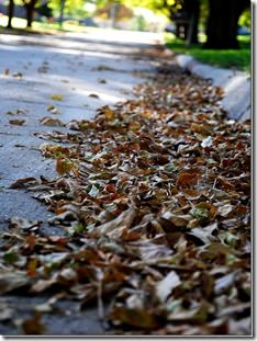 DSC_0011_thumb6[1]