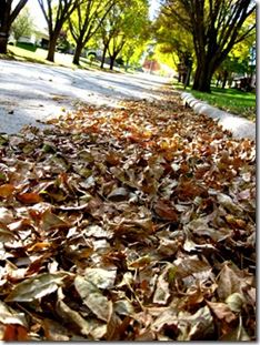 IMG_1209[1]