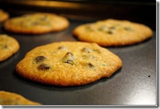 ChocolateChipCookie