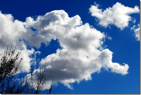 bunnycloud