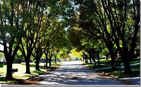 Fall