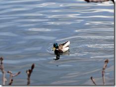 IMG_0053