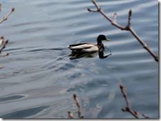 IMG_0055