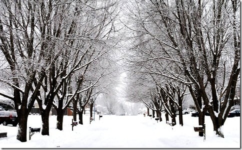 Winter