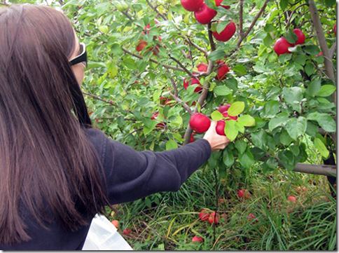 ApplePicking