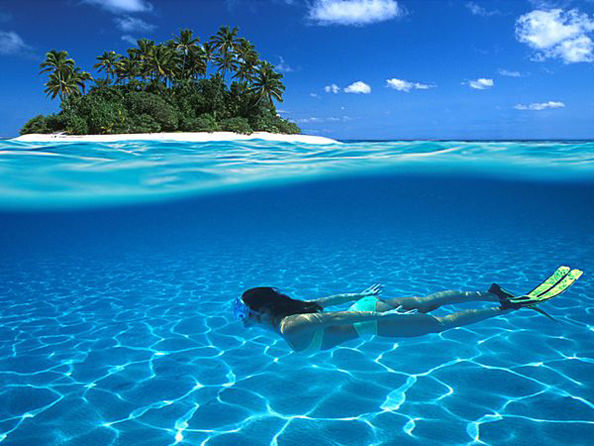 MaldivesDiver