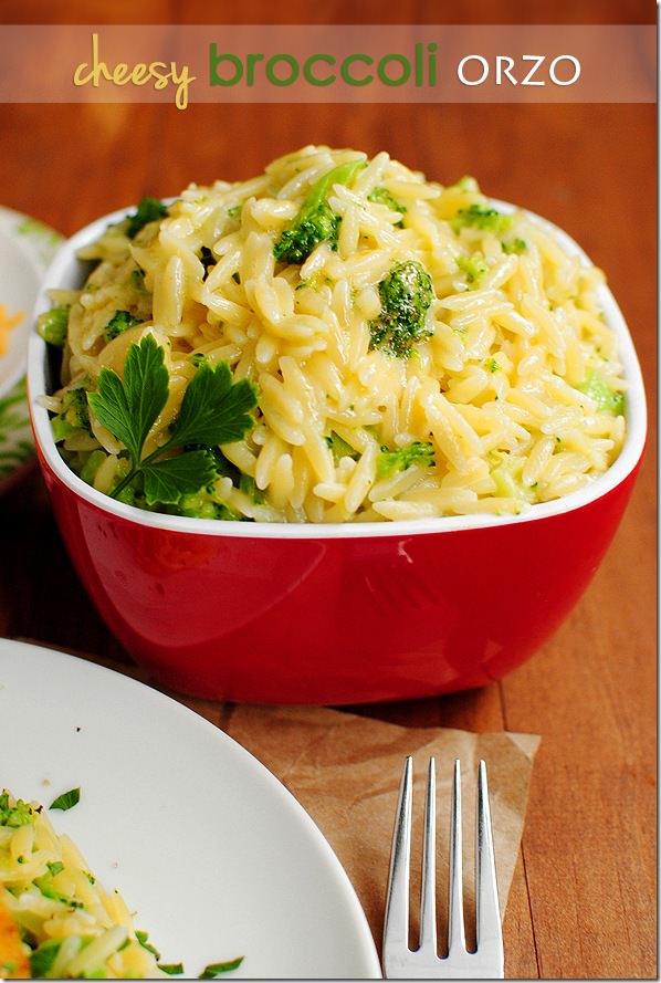 CheesyBroccoliOrzoMain