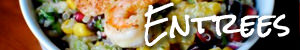 Entree Recipes
