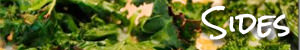 Side Dish Recipes